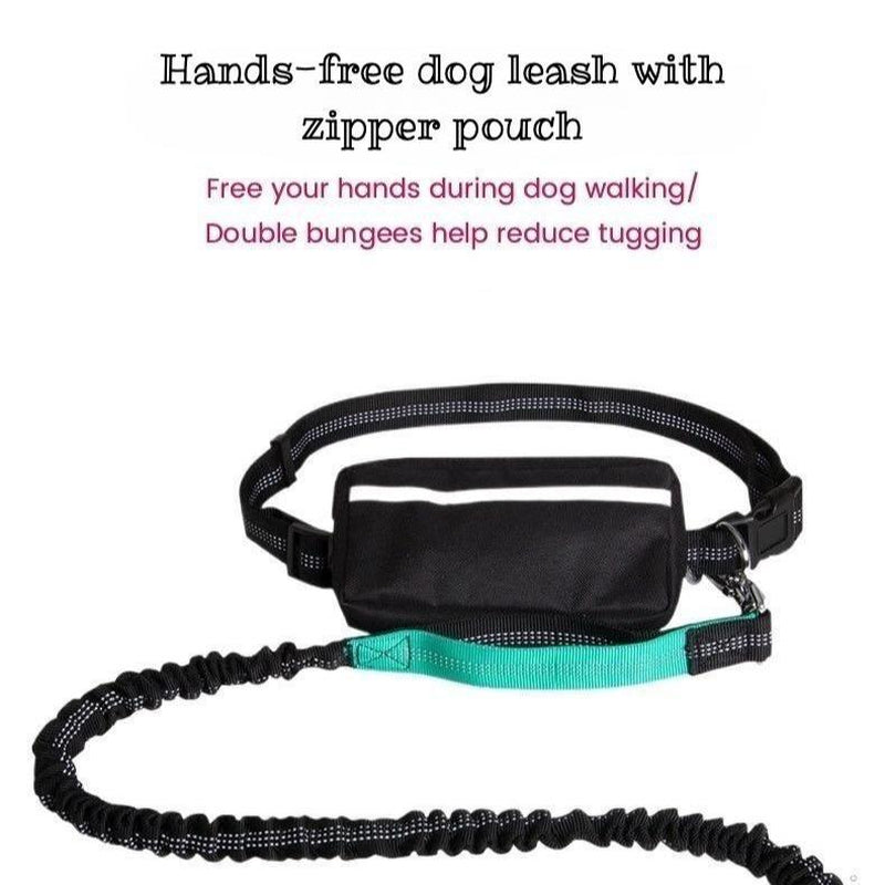 Hands-Free Dog Leash with Zipper Pouch, Dual Handles, Double Bungees