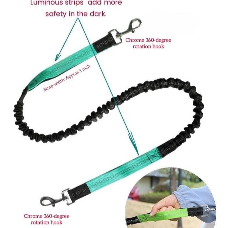 Hands-Free Dog Leash with Zipper Pouch, Dual Handles, Double Bungees