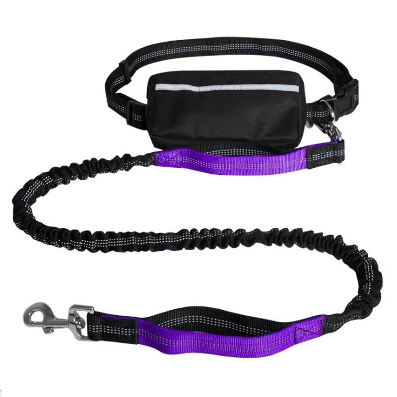Hands-Free Dog Leash with Zipper Pouch, Dual Handles, Double Bungees