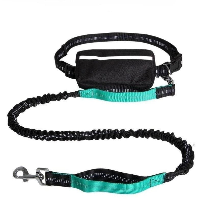 Hands-Free Dog Leash with Zipper Pouch, Dual Handles, Double Bungees